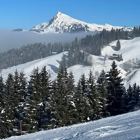 Apartment Gernot Kirchberg in Tirol