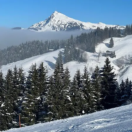 Lejlighed Gernot Kirchberg in Tirol